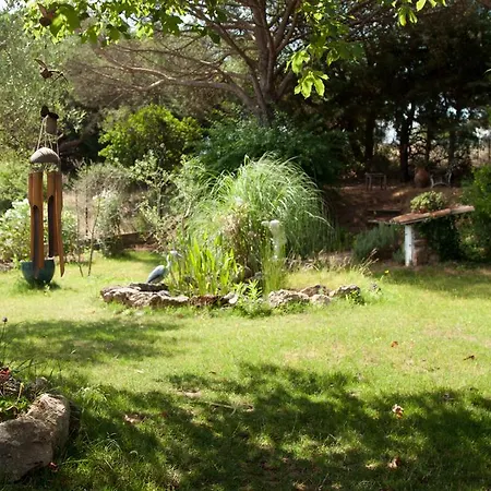 D'hotes Du Bijou Bleu Bed & Breakfast Puget-sur Argens
