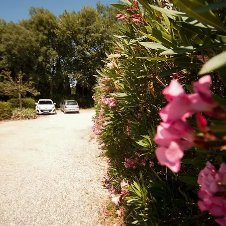 Bed & Breakfast D'hotes Du Bijou Bleu *